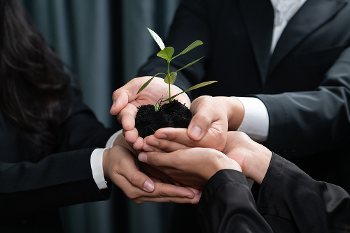 Growth Support Growth Support