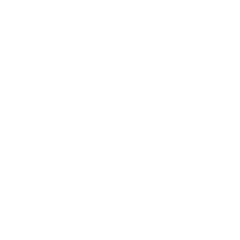 Consulting Expertise